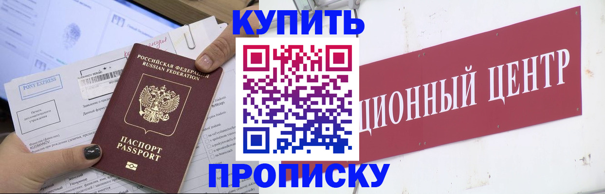 прописка поиск в Дмитрове