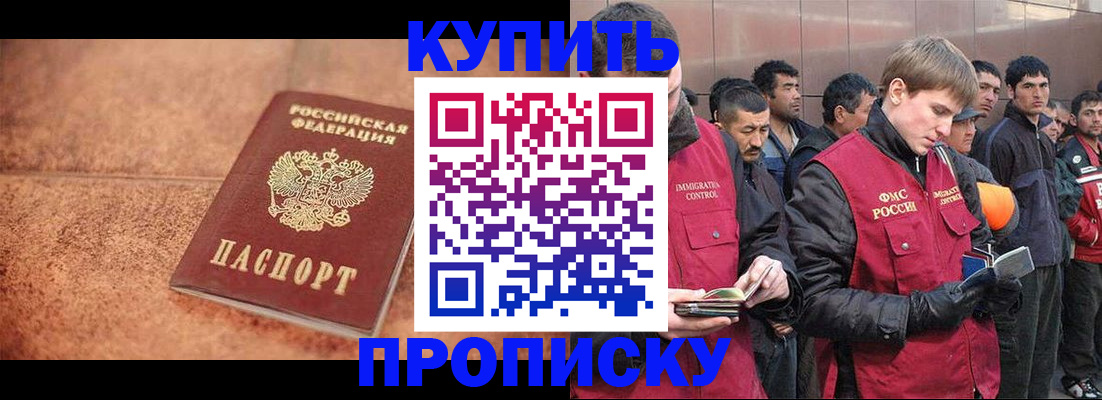 где прописаться в Дмитрове